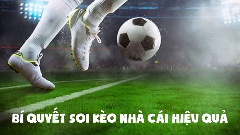 Kèo Nhà Cái - Cập Nhật Tỷ Lệ Kèo Chính Xác