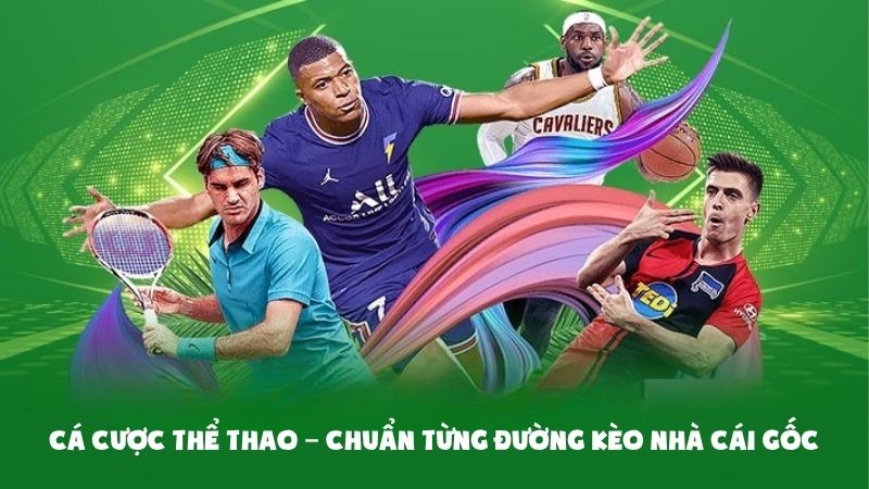 Toàn cảnh QQ88: Nhà cái trực tuyến hàng đầu có gì nổi bật?