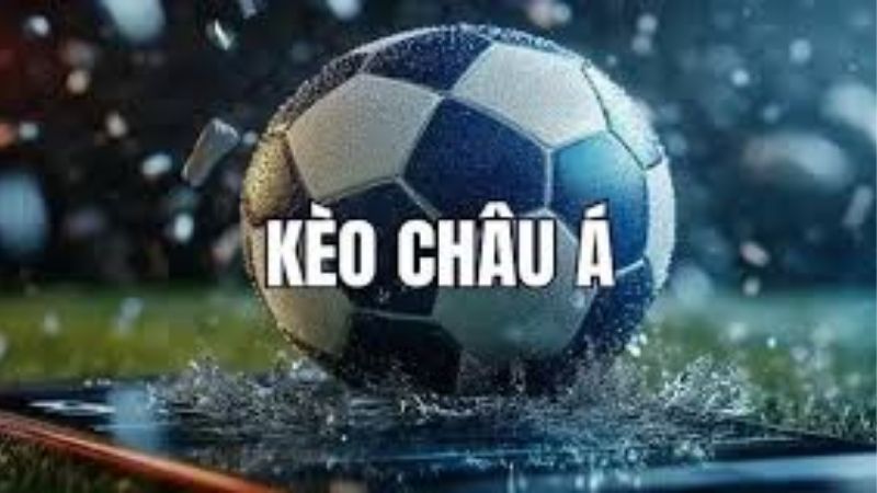 Thuật Ngữ Cá Độ Bóng Đá: Bẻ Khóa Ngôn Ngữ Dân Cá Cược Từ A-Z