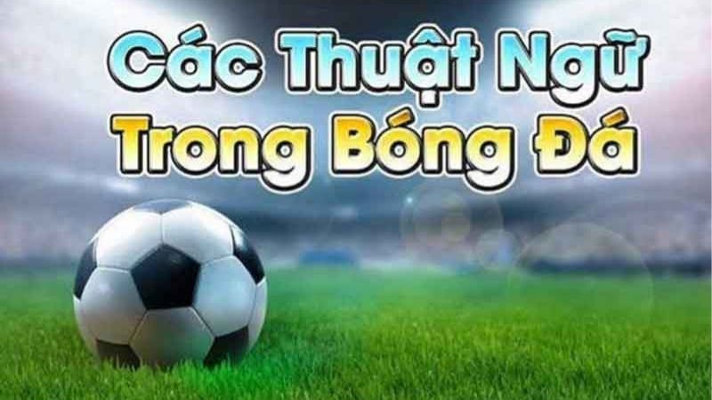 Thuật Ngữ Cá Độ Bóng Đá: Bẻ Khóa Ngôn Ngữ Dân Cá Cược Từ A-Z