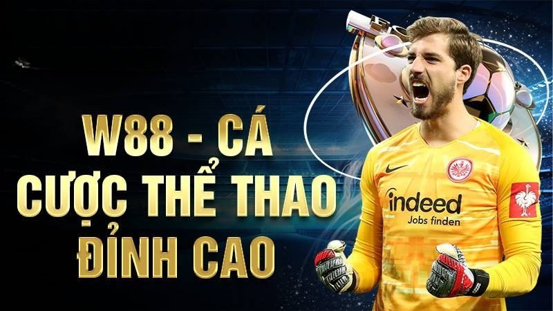 Top 5 Trang Cá Cược Bóng Đá Uy Tín Được Nhiều Người Chơi Nhất 2025