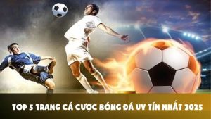 Top 5 Trang Cá Cược Bóng Đá Uy Tín Được Nhiều Người Chơi Nhất 2025